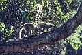 038 FA MADAGASCAR